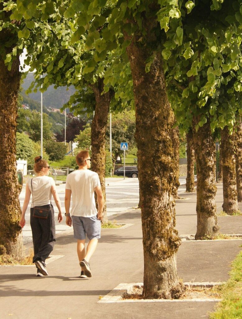 Calming Transformations - Walking in the park - Walking the Path to Wellness - Understanding Walk and Talk Therapy